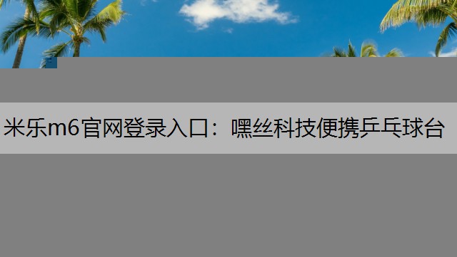 米乐m6官网登录入口：嘿丝科技便携乒乓球台