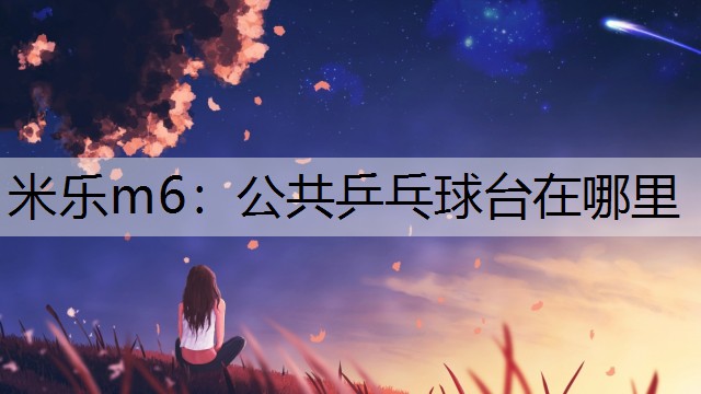 米乐m6：公共乒乓球台在哪里