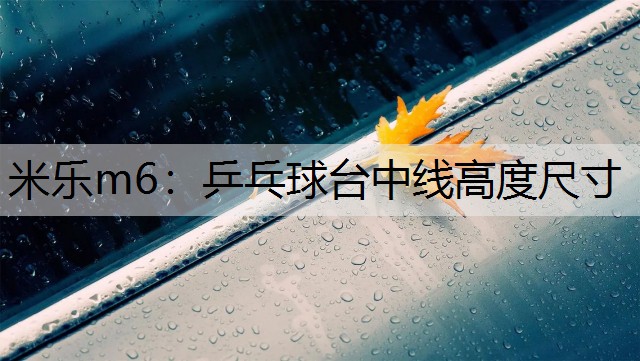 <strong>米乐m6：乒乓球台中线高度尺寸</strong>