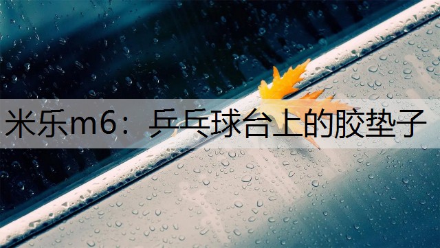 <strong>米乐m6：乒乓球台上的胶垫子</strong>