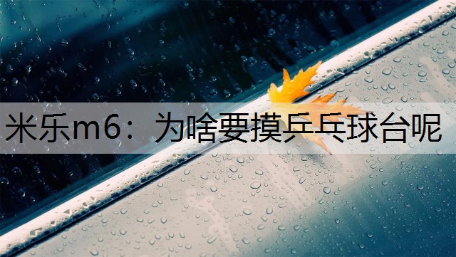 <strong>米乐m6：为啥要摸乒乓球台呢</strong>