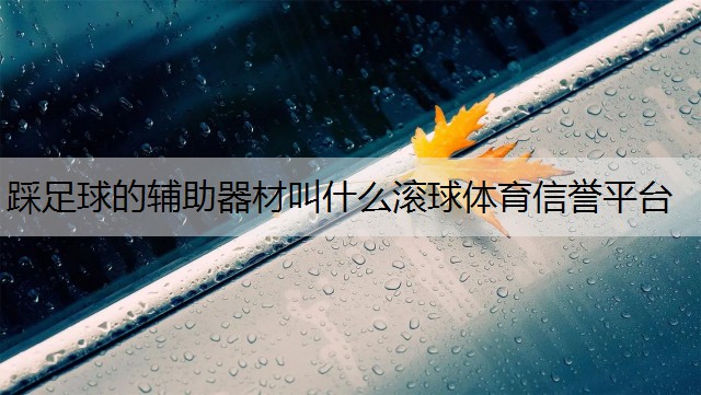 <strong>踩足球的辅助器材叫什么滚球体育信誉平台</strong>