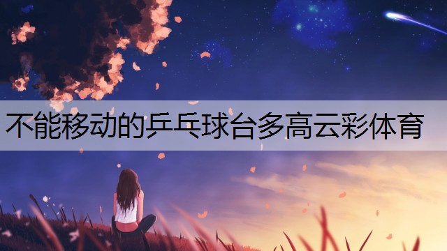 不能移动的乒乓球台多高云彩体育