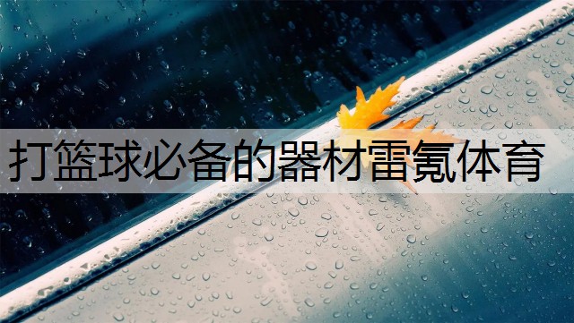 打篮球必备的器材雷氪体育