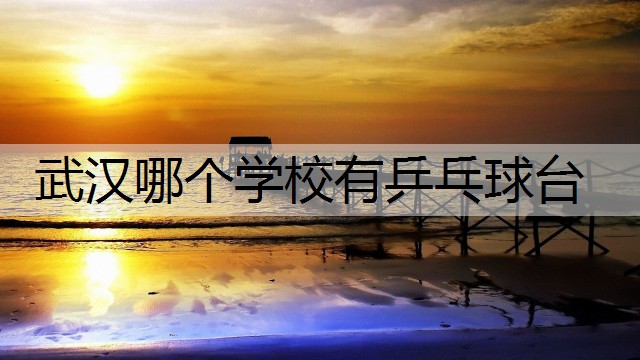 武汉哪个学校有乒乓球台