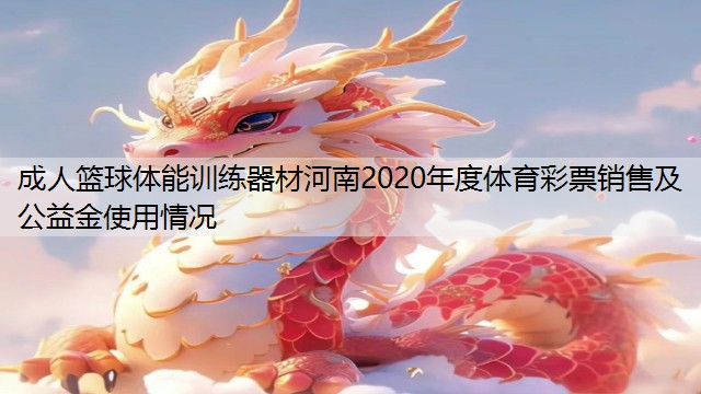 成人篮球体能训练器材河南2020年度体育彩票销售及公益金使用情况