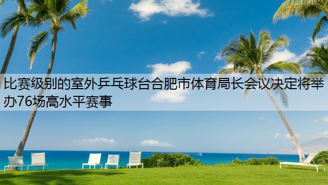 比赛级别的室外乒乓球台合肥市体育局长会议决定将举办76场高水平赛事