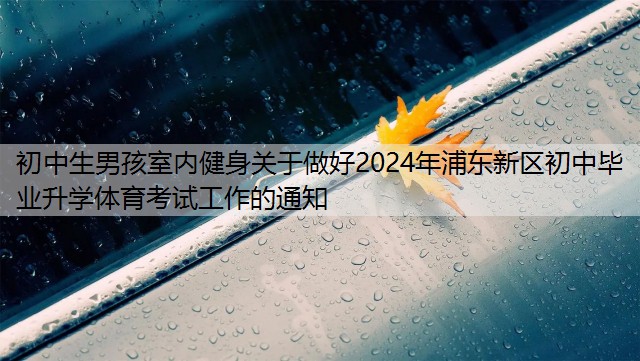 初中生男孩室内健身关于做好2024年浦东新区初中毕业升学体育考试工作的通知