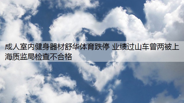 成人室内健身器材舒华体育跌停 业绩过山车曾两被上海质监局检查不合格