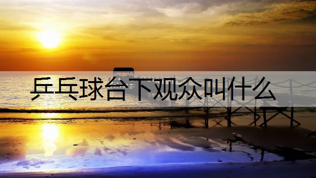 乒乓球台下观众叫什么