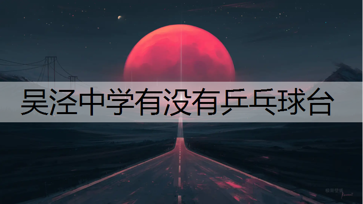 吴泾中学有没有乒乓球台